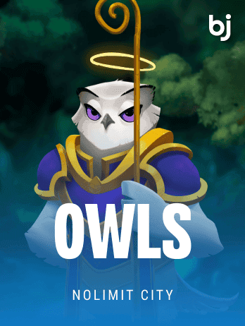 Owls game cover